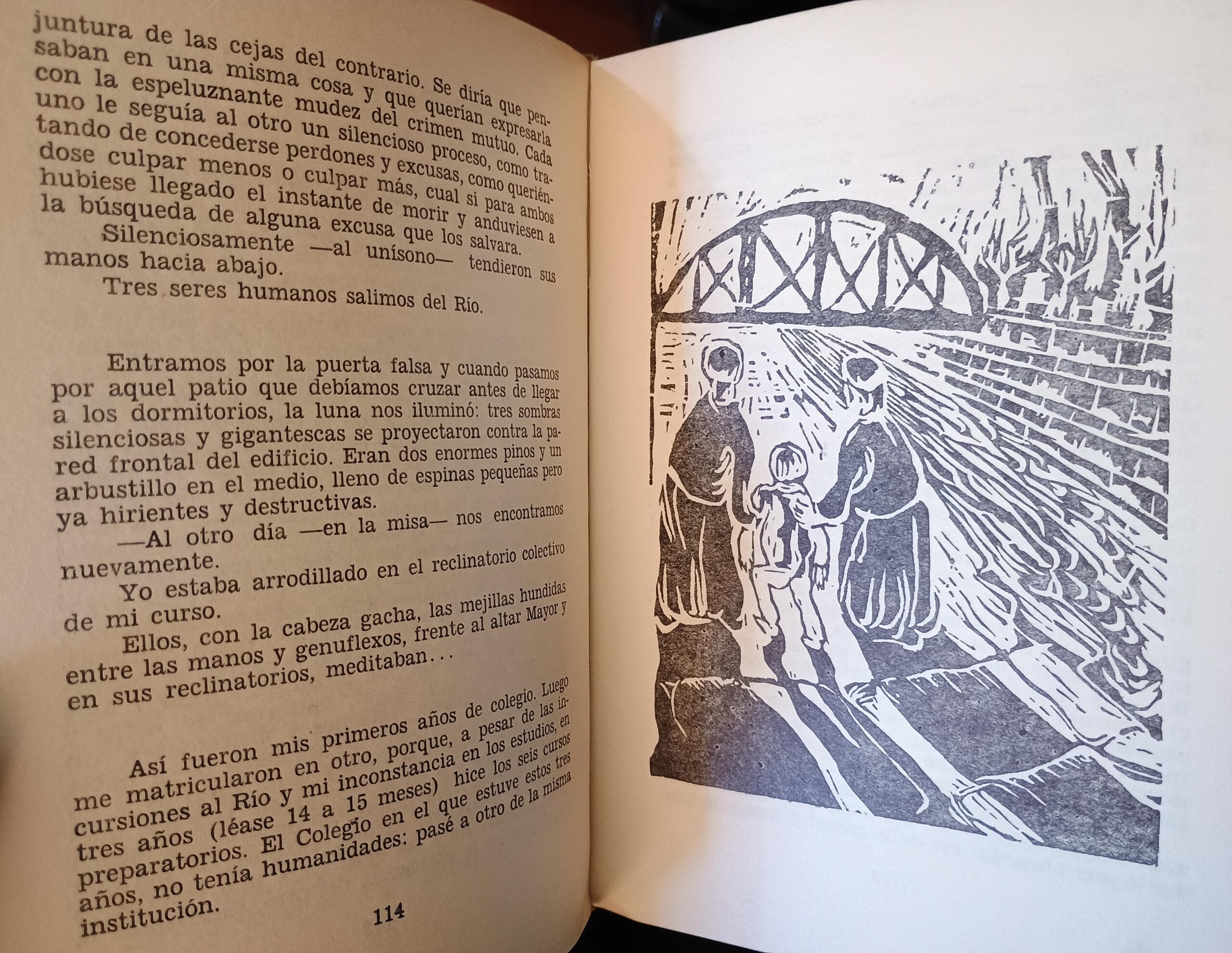 EL RÍO de Alfredo Gómez Morel - Imagen 4