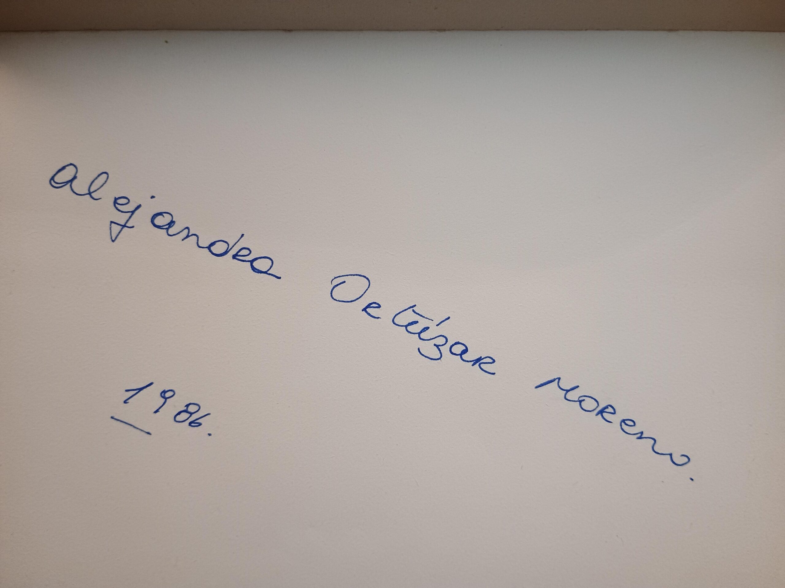 LA DESESPERANZA de José Donoso - Imagen 2