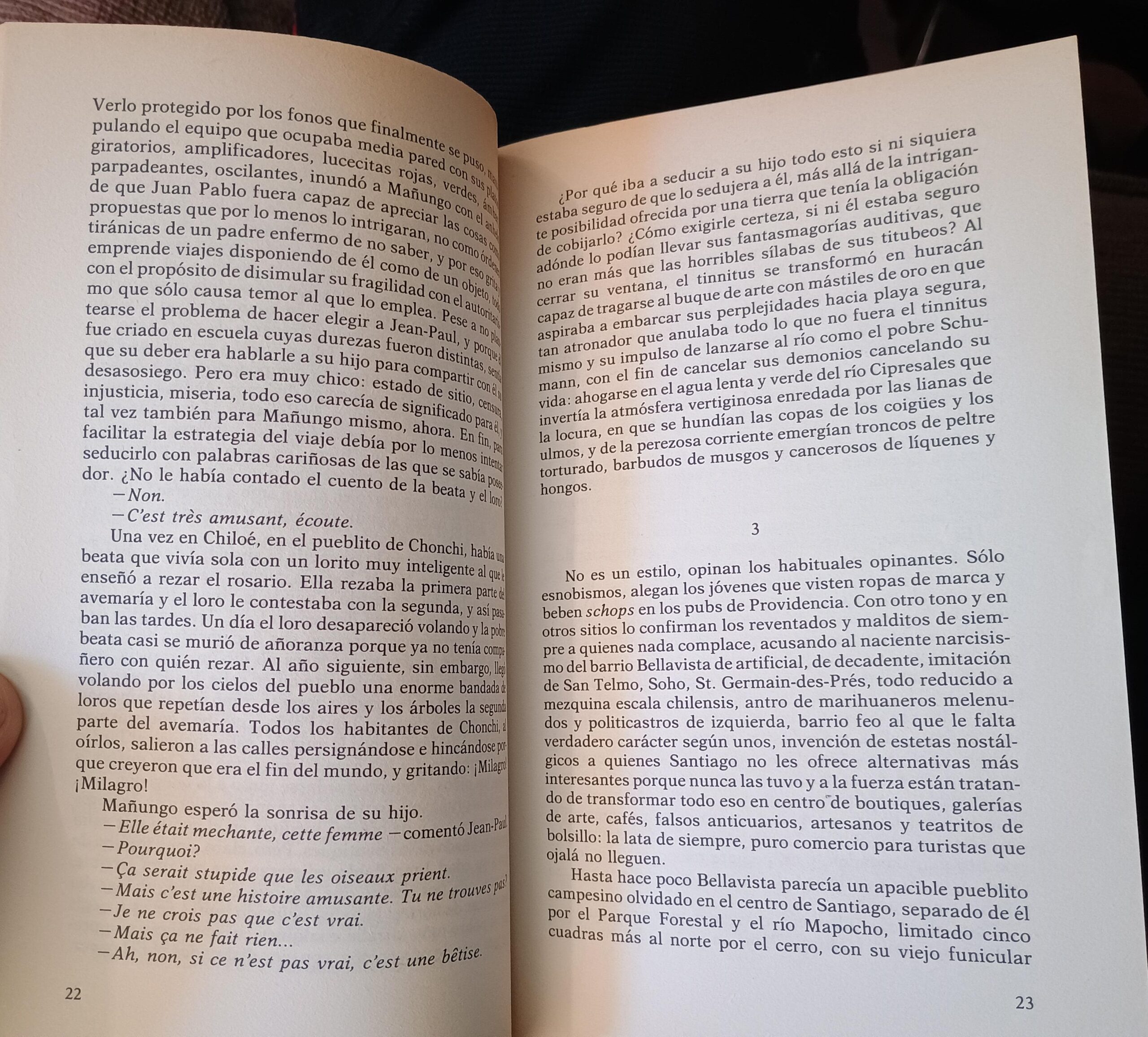 LA DESESPERANZA de José Donoso - Imagen 4