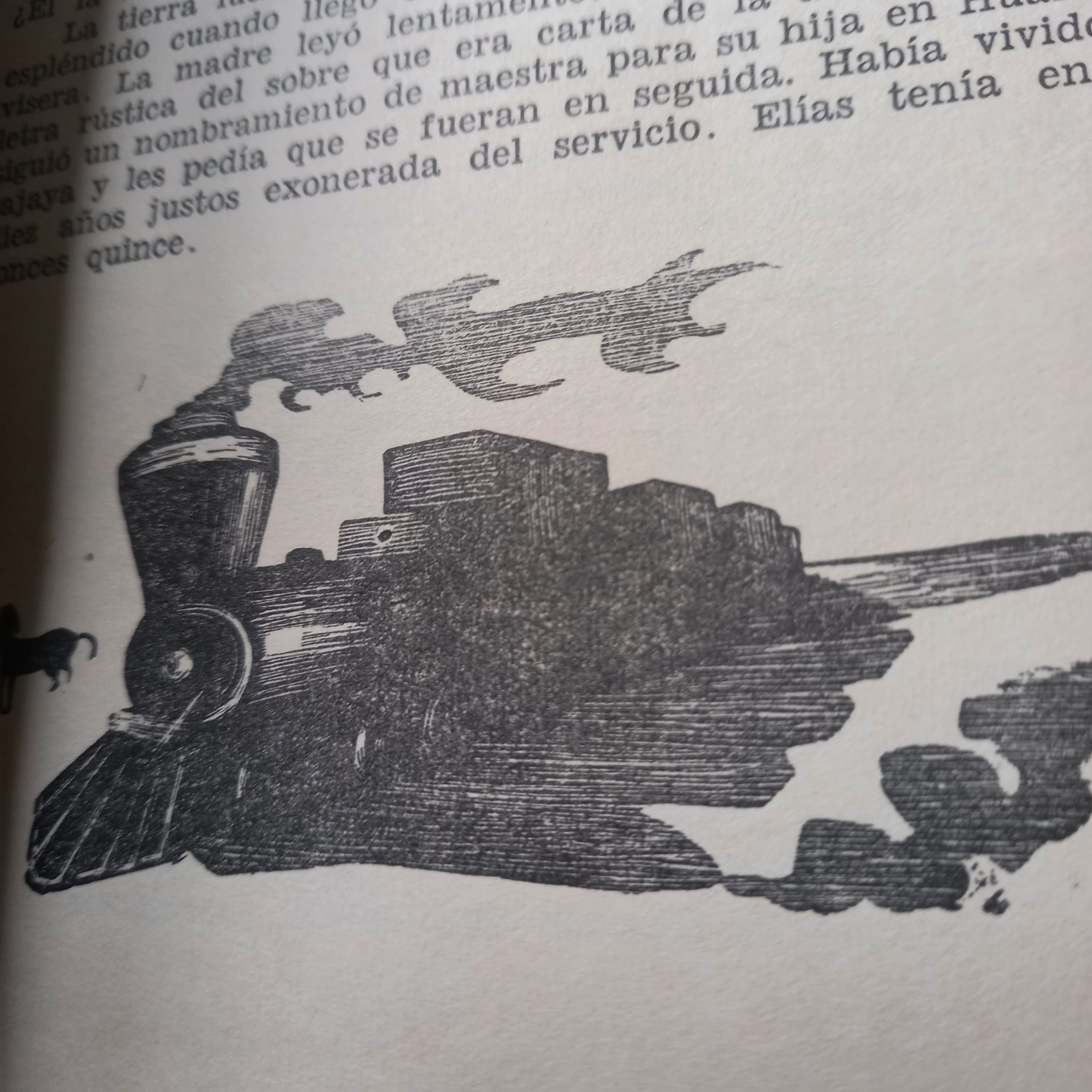 HIJO DEL SALITRE de Volodia Teitelboim - Imagen 8