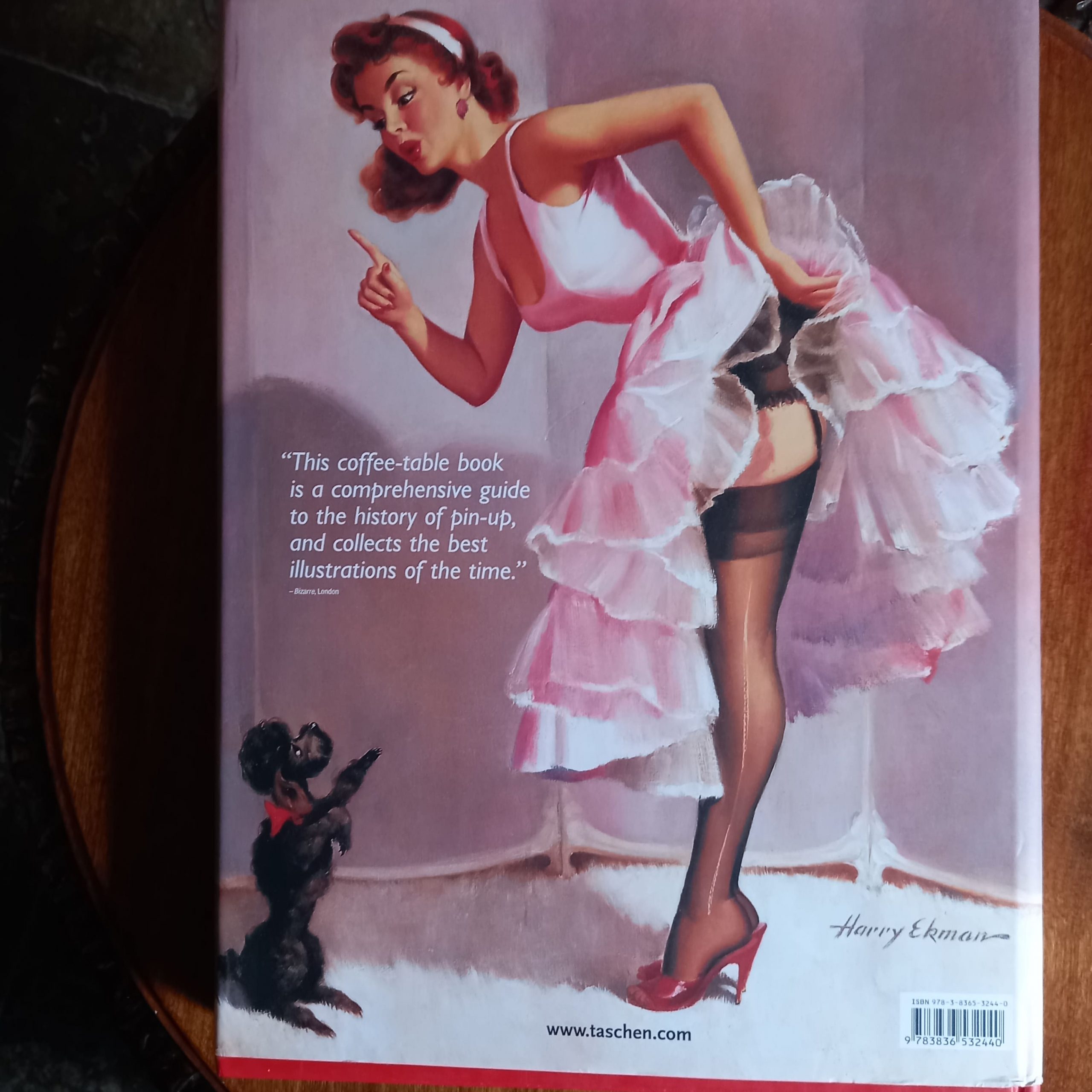 THE GREAT AMERICAN PIN UP de Charles G. Martignette y Louis K. Meisel - Imagen 11