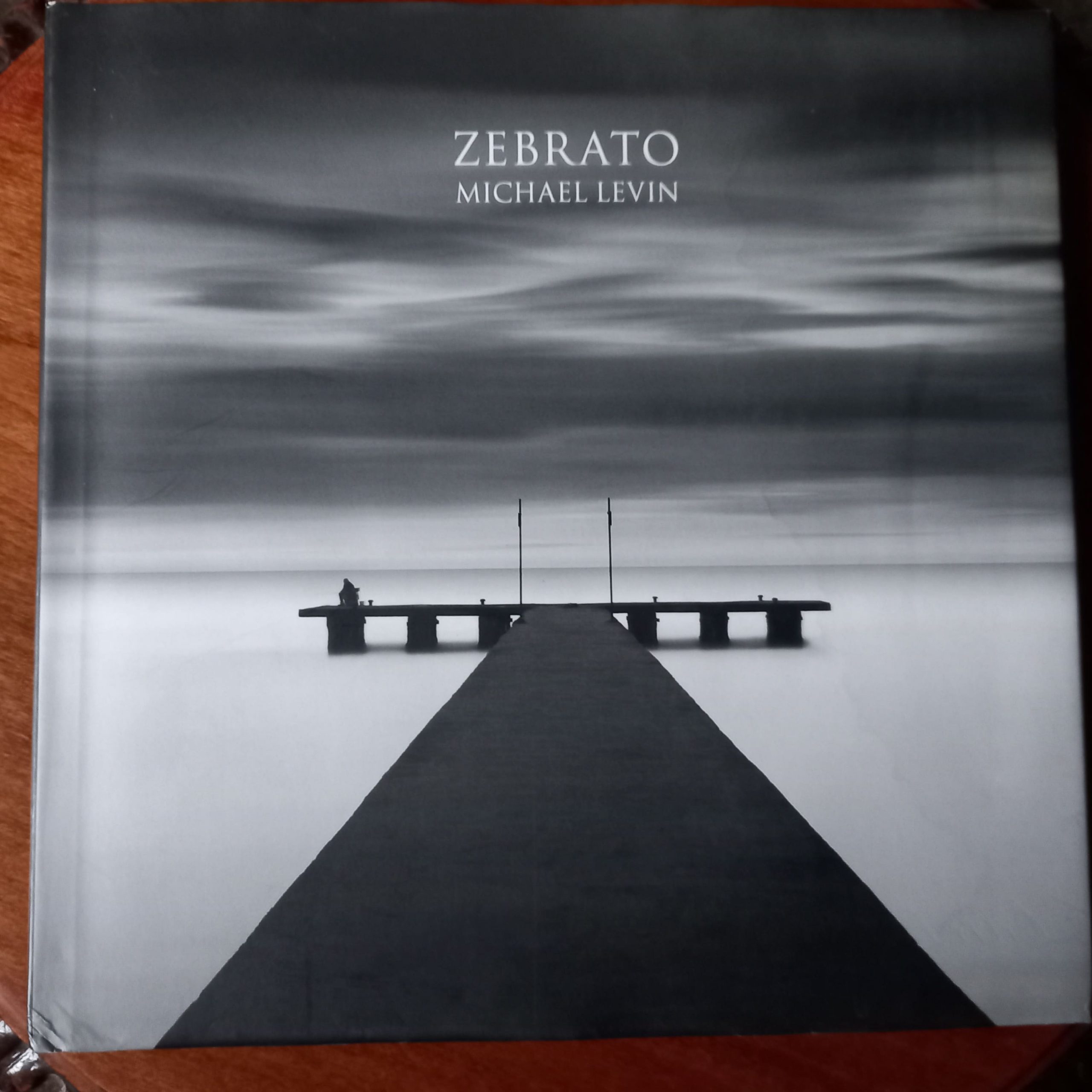 ZEBRATO de Michael Levin