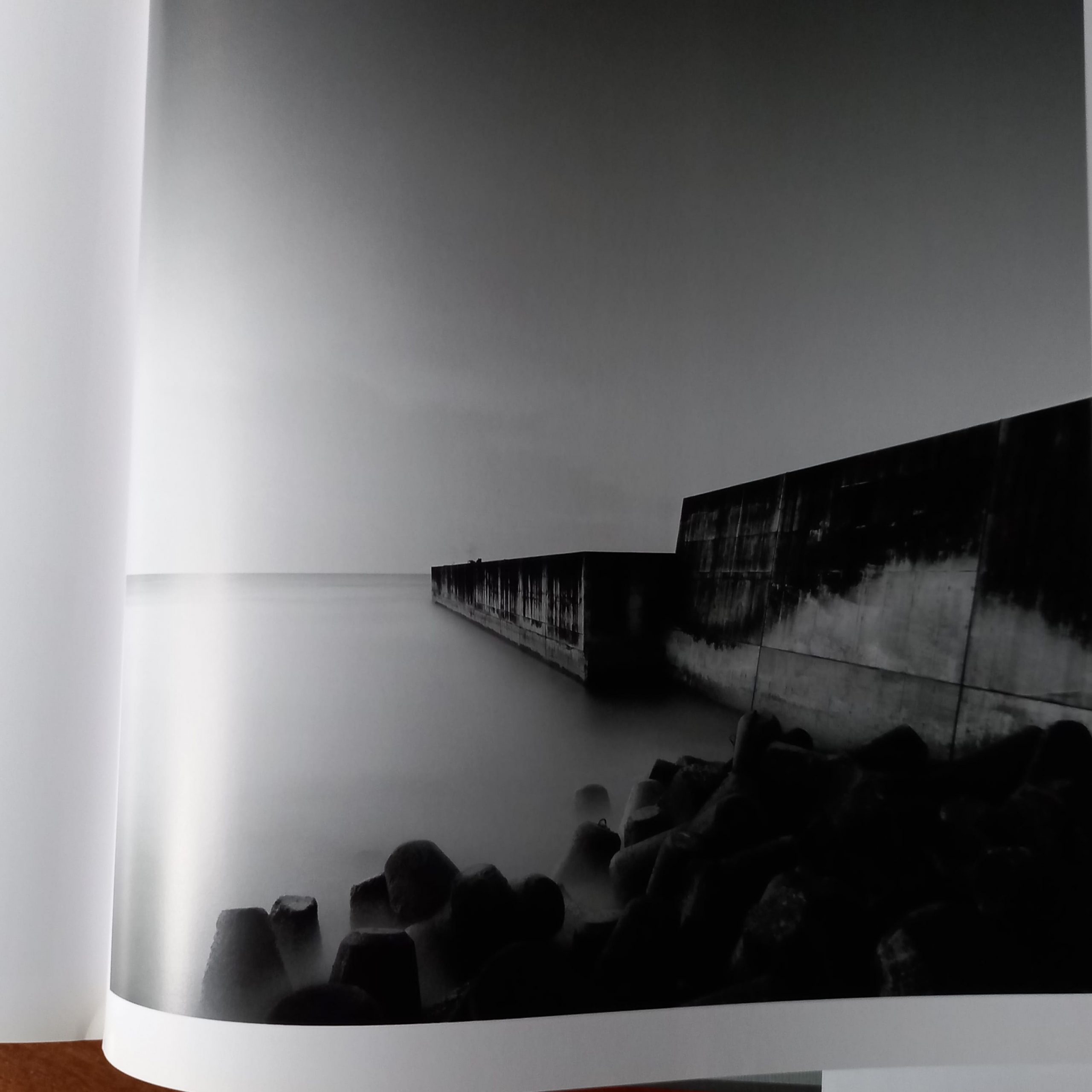 ZEBRATO de Michael Levin - Imagen 6