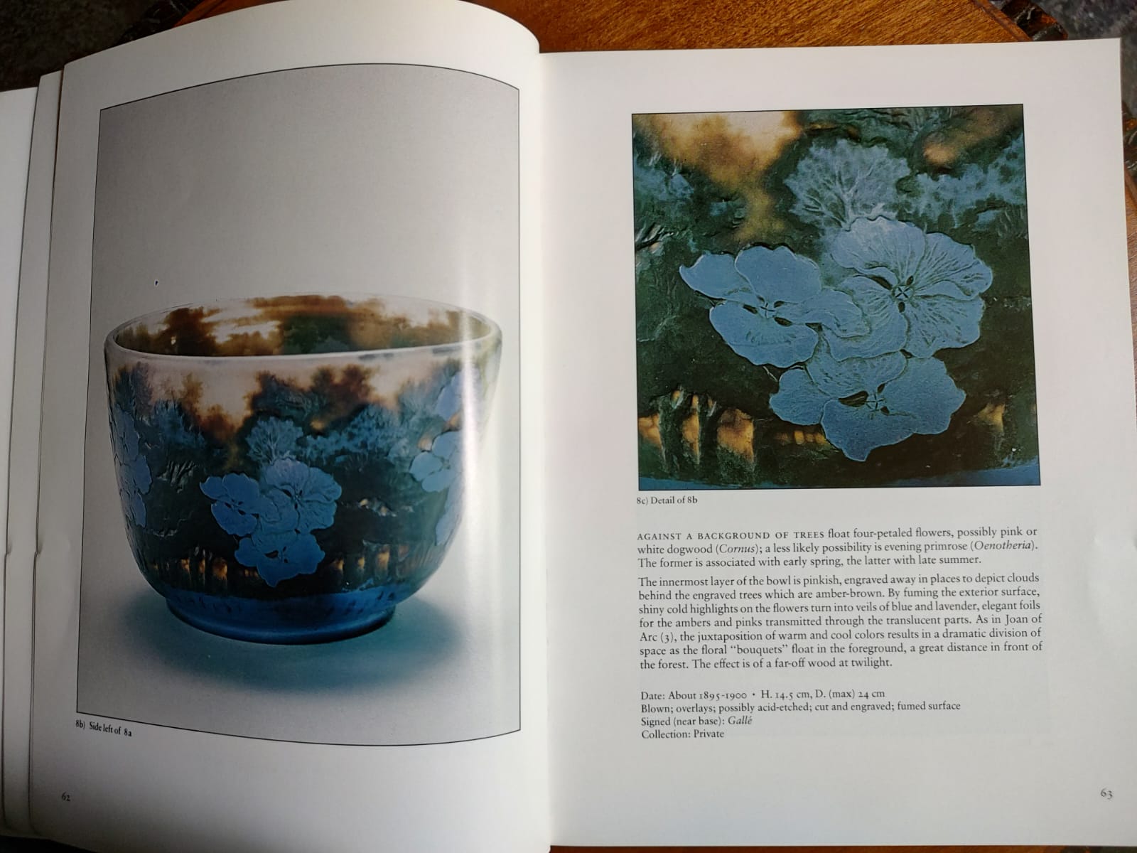 EMILE GALLÉ: DREAMS INTO GLASS de William Warmus 1984 - Imagen 2