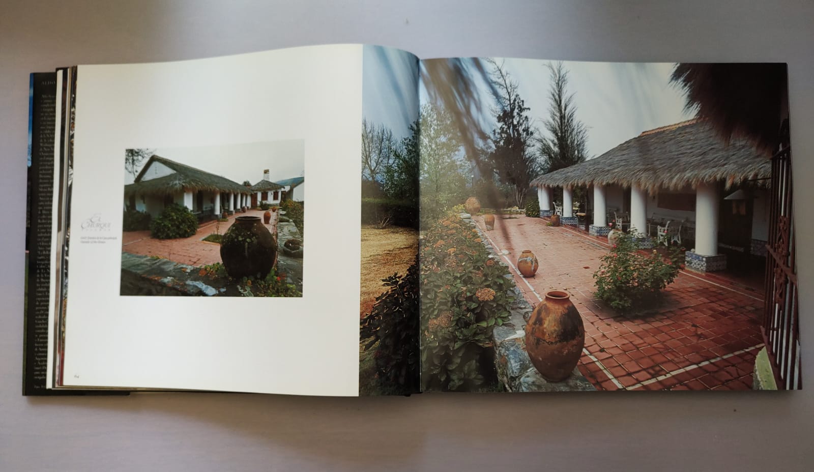 ESTANCIAS PALACIOS CRIOLLOS DE ARGENTINA de Aldo Sessa - Imagen 3