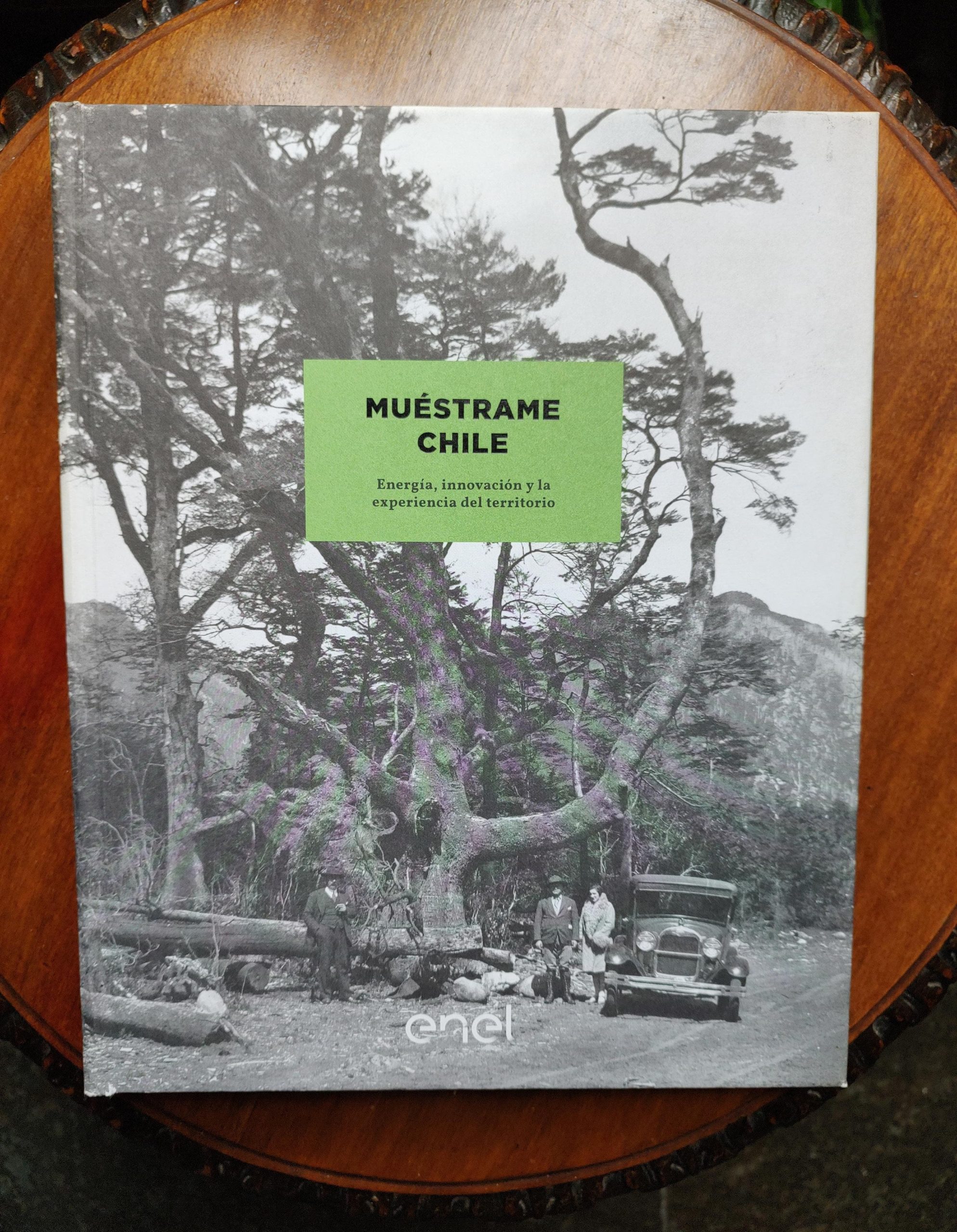 MUÉSTRAME CHILE de M. Teresa Letelier