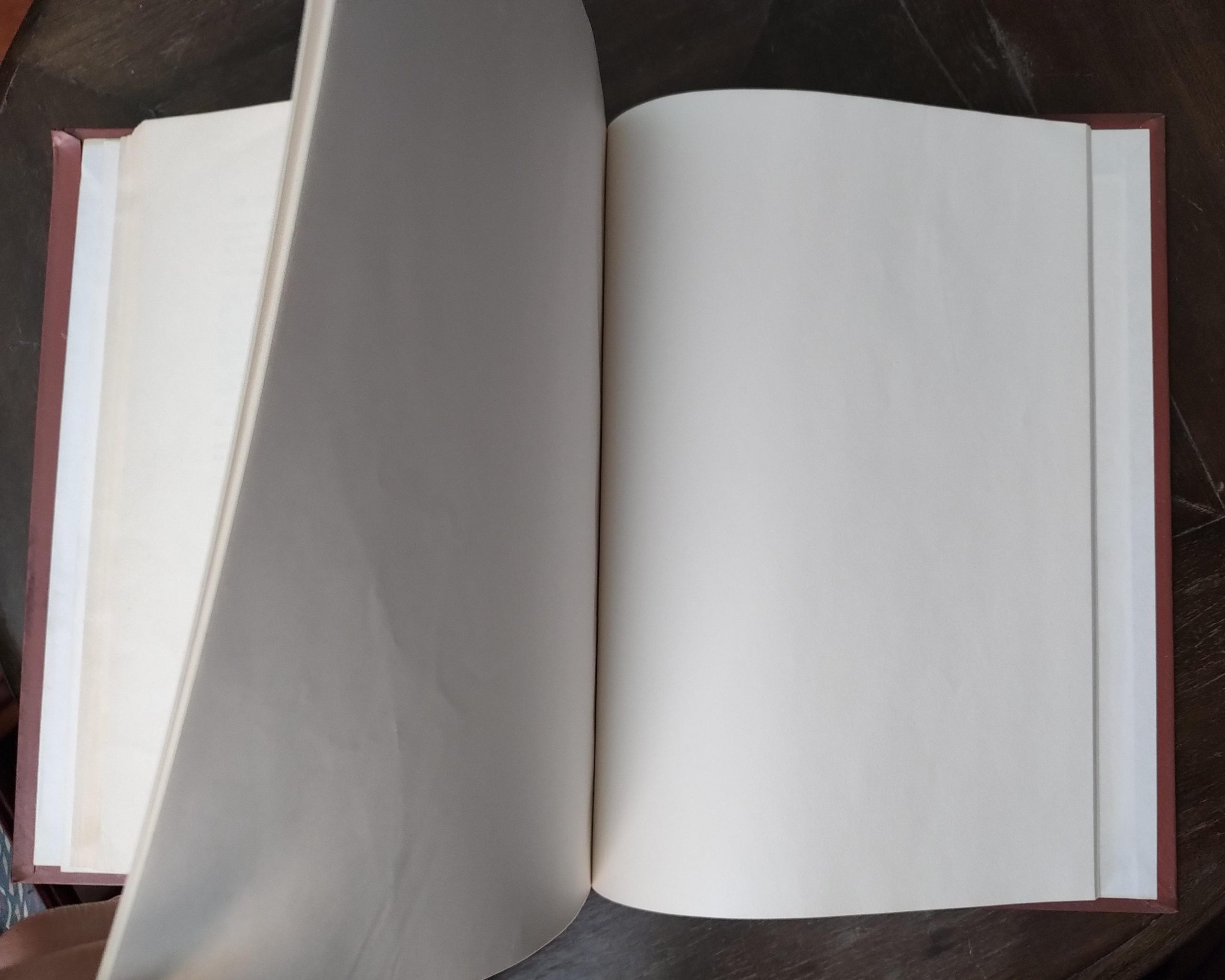 VOCABULARIO DEL QUIJOTE de Aníbal Echeverría y Reyes - Imagen 6