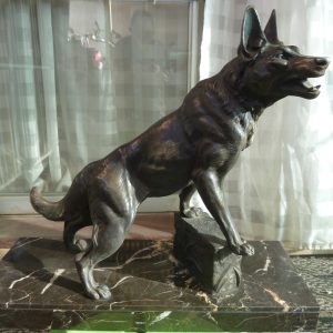 El Perro Gran Amigo Y Compañero