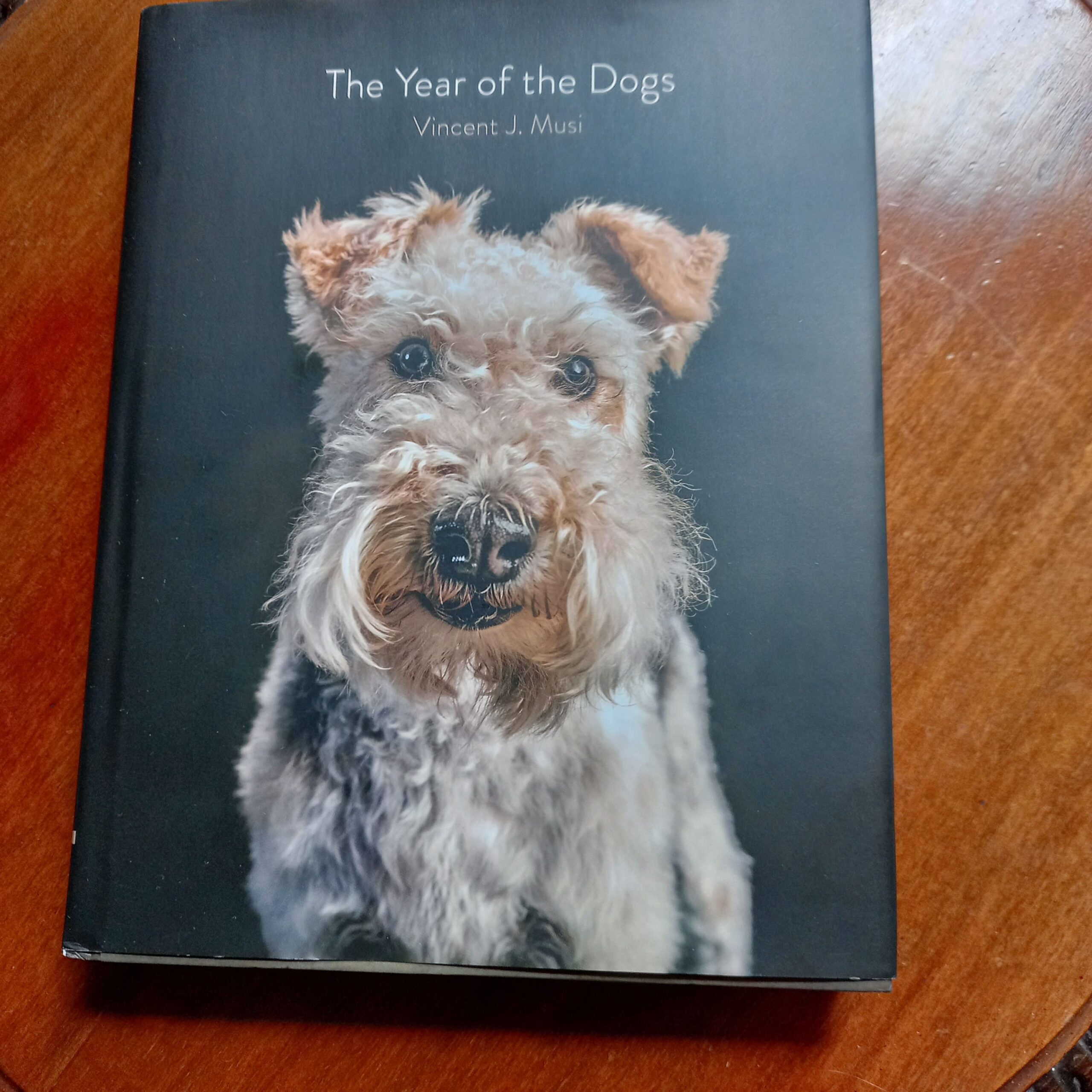 THE YEAR OF THE DOGS de Vincent J. Musi