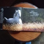 THE ARABIAN HORSE OF EGYPT de Nasr Marei - Imagen 2