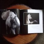 THE ARABIAN HORSE OF EGYPT de Nasr Marei - Imagen 4