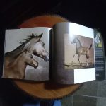 THE ARABIAN HORSE OF EGYPT de Nasr Marei - Imagen 6