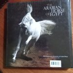 THE ARABIAN HORSE OF EGYPT de Nasr Marei - Imagen 7