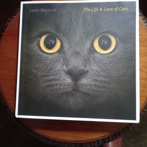THE LIFE &LOVE OF CATS de Lewis Blackwell