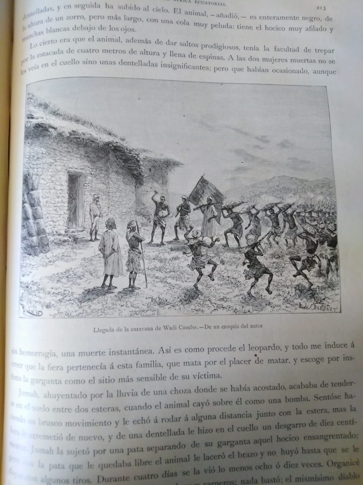 África Pintoresca
