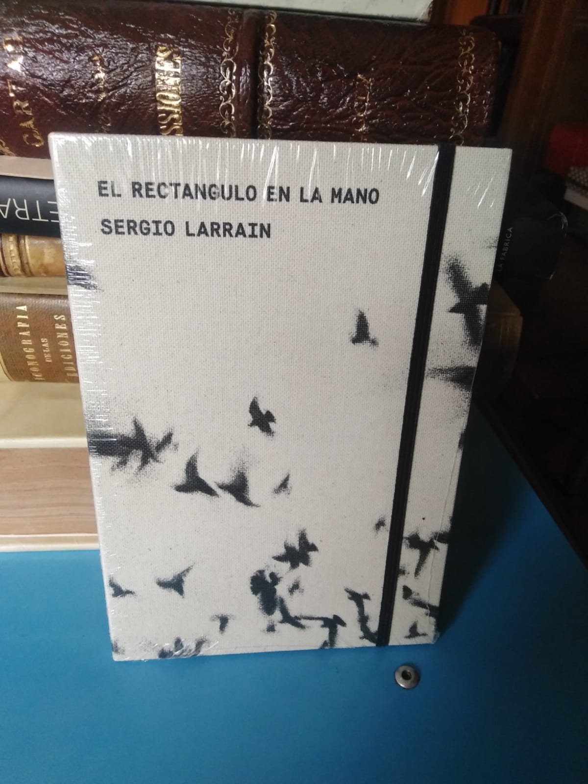 El Rectángulo en la Mano - Sergio Larraín