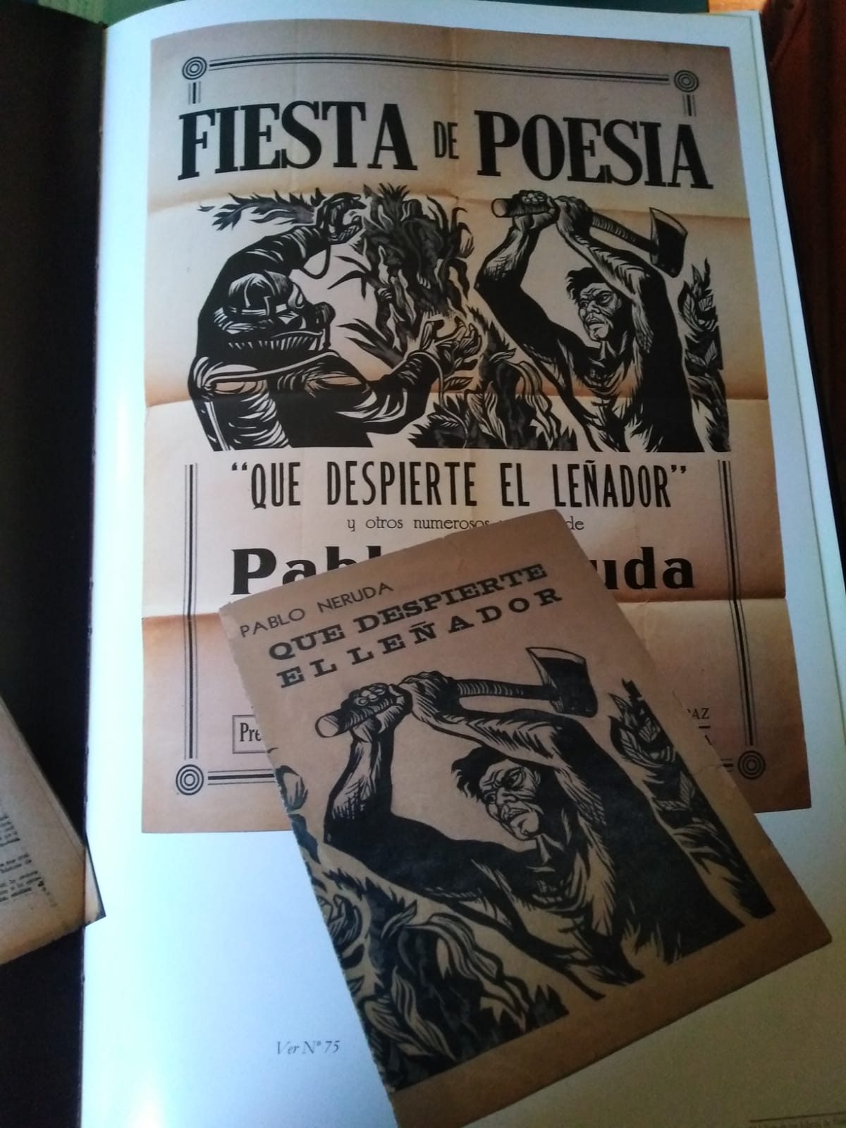 El Libro de los Libros de Pablo Neruda - César Soto Gómez -