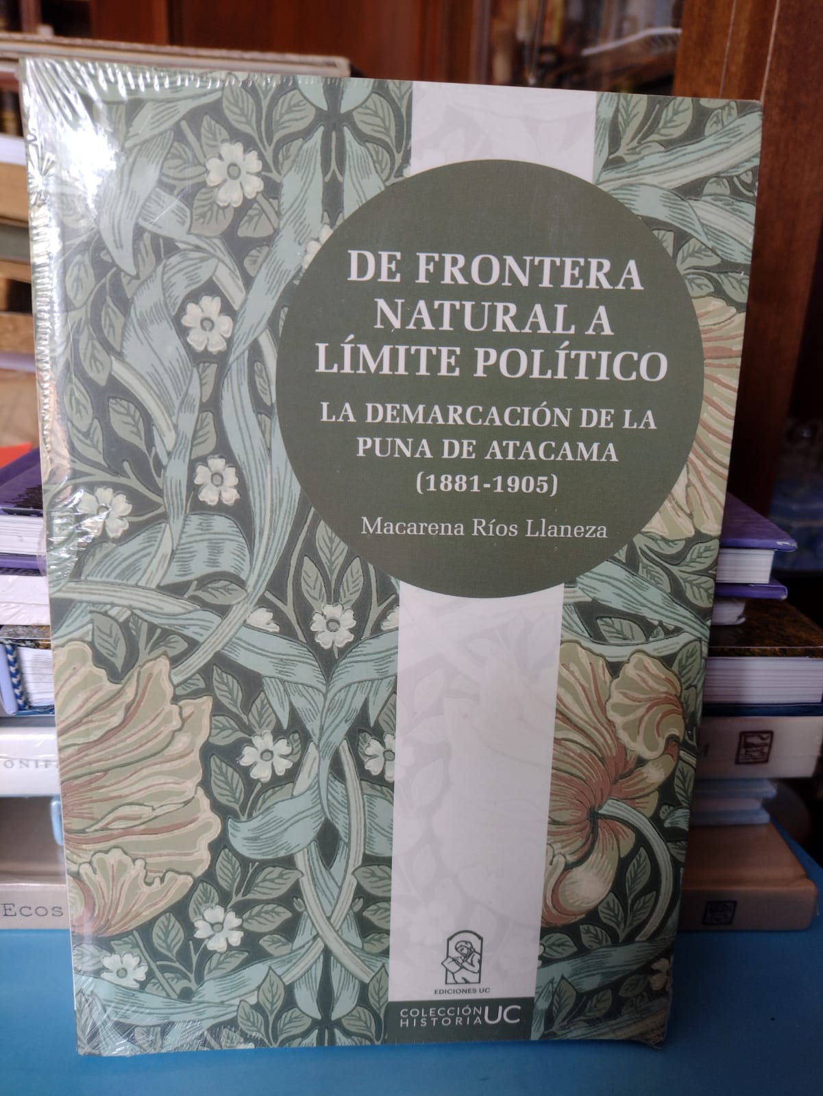 DE FRONTERA NATURAL A LÍMITE POLÍTICO. La demarcación de la Puna de Atacama (1881 - 1905) - Macarena Ríos Llaneza