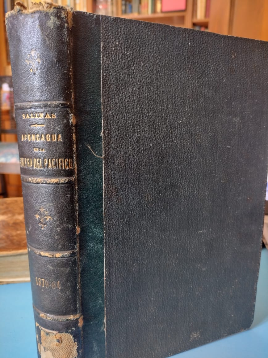 Los Representantes de la Provincia de Aconcagua en la Guerra del Pacífico 1879/1884 - Florentino Salinas - 1893
