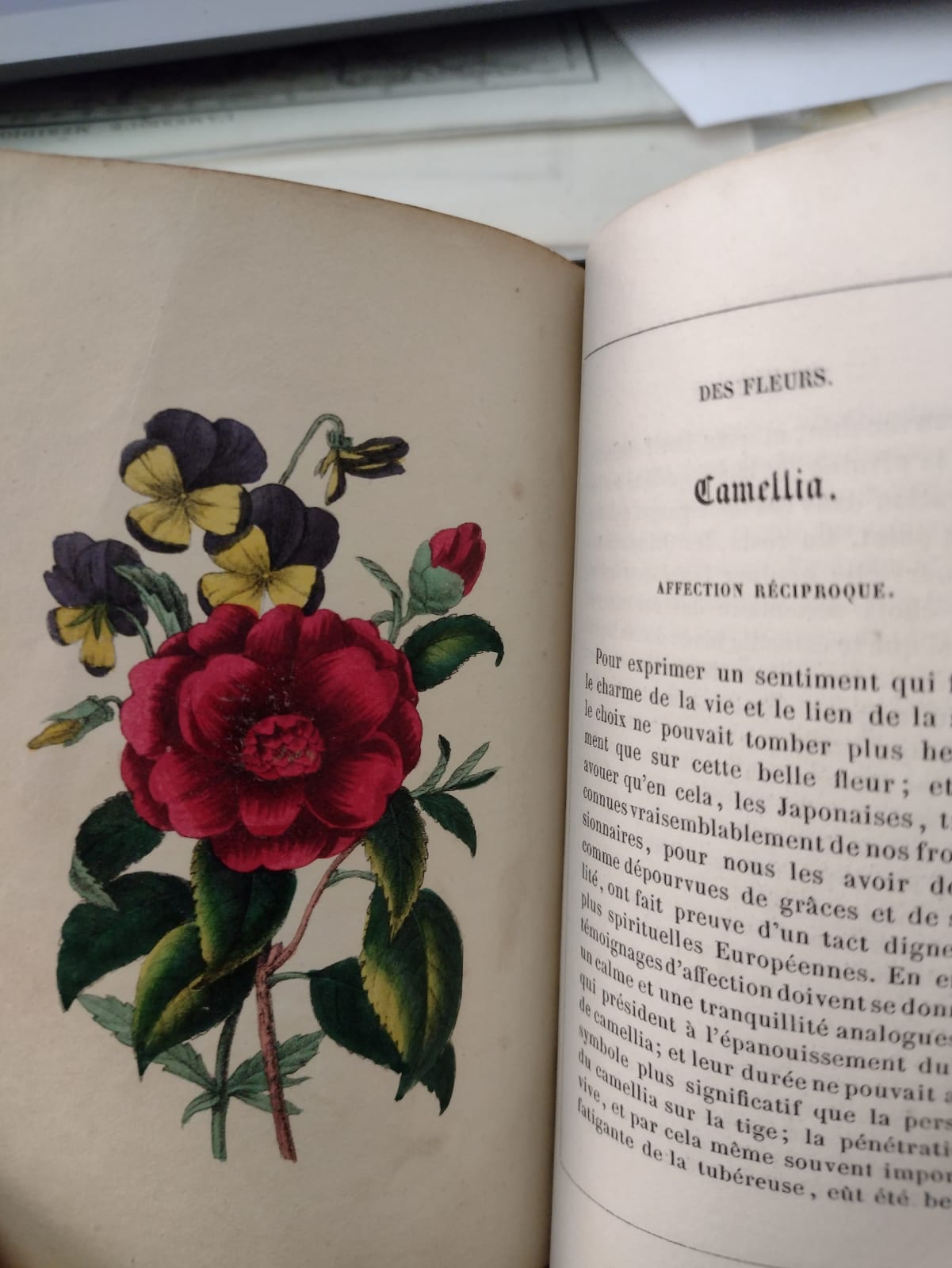 Le Langage des fleurs - M. Aimé Martín - 1852