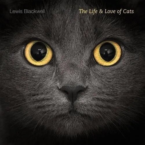 Libro Vida Y Amor De Los Gatos Lewis Blackwell New York