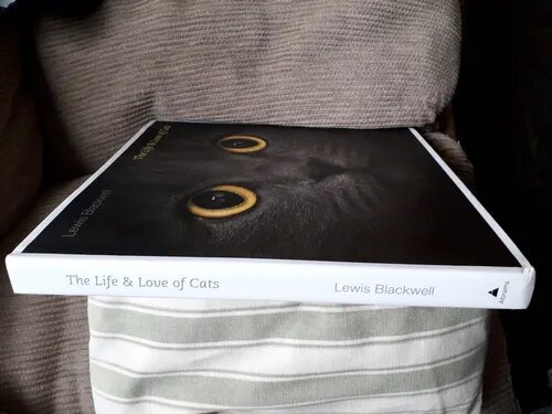 Libro Vida Y Amor De Los Gatos Lewis Blackwell New York