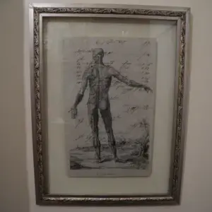 Grabado Antiguo Con Anotaciones Ambas Caras Anatomie 1809