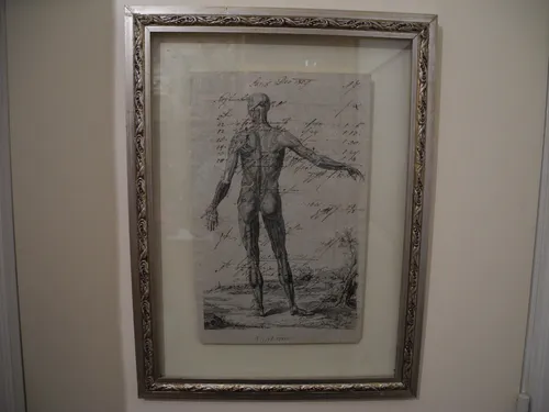 Grabado Antiguo Con Anotaciones Ambas Caras Anatomie 1809