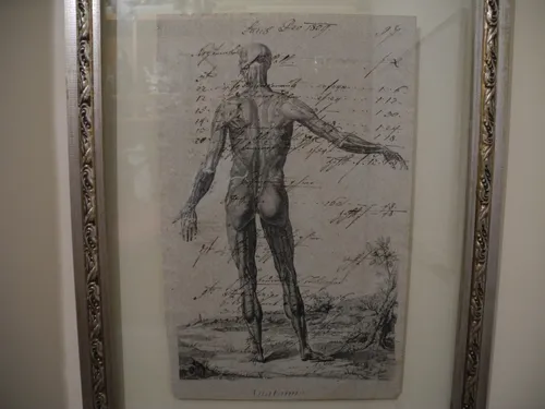 Grabado Antiguo Con Anotaciones Ambas Caras Anatomie 1809