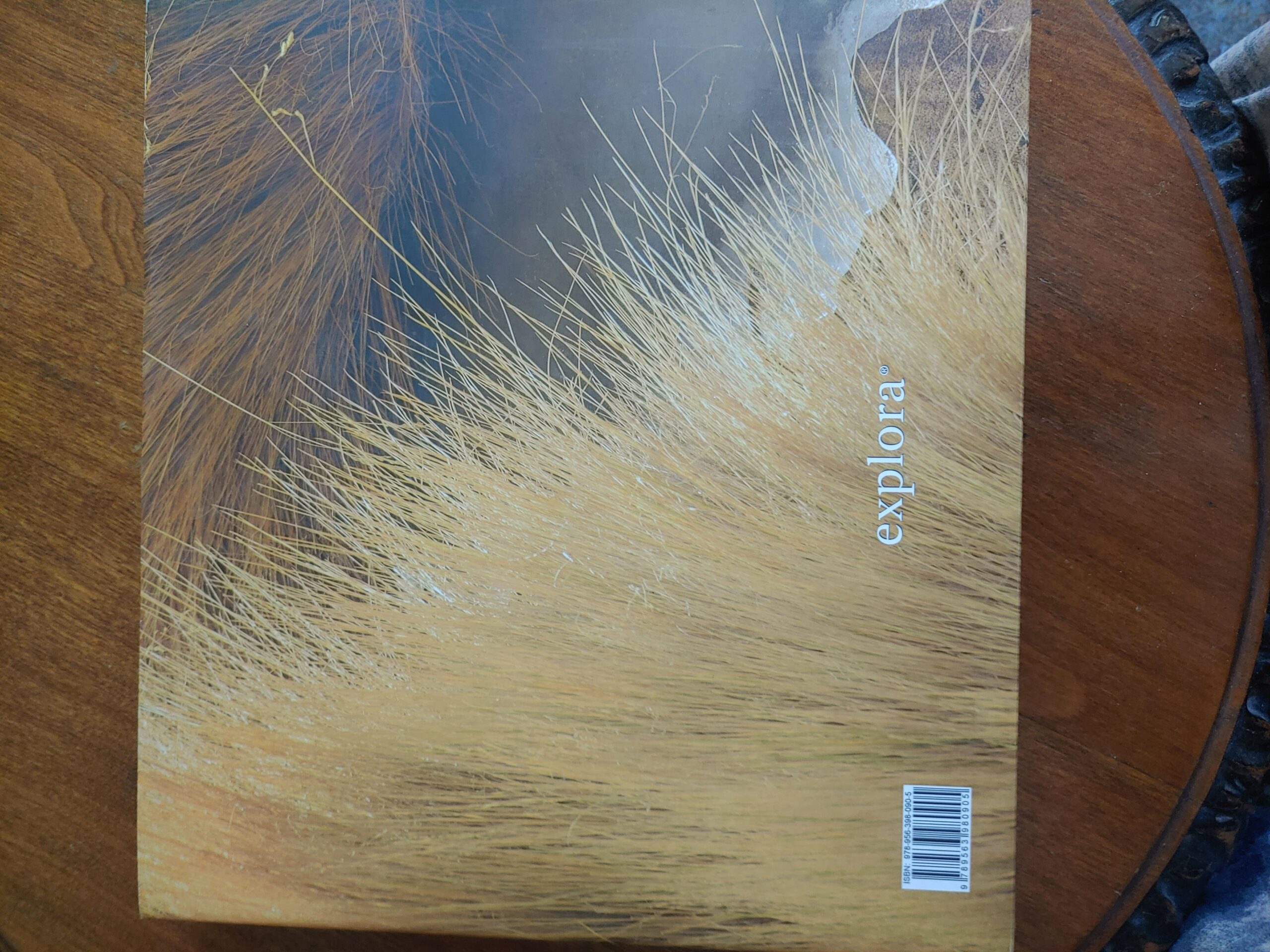 RESERVA NATURAL PURITAMA de Varios Autores - Imagen 4