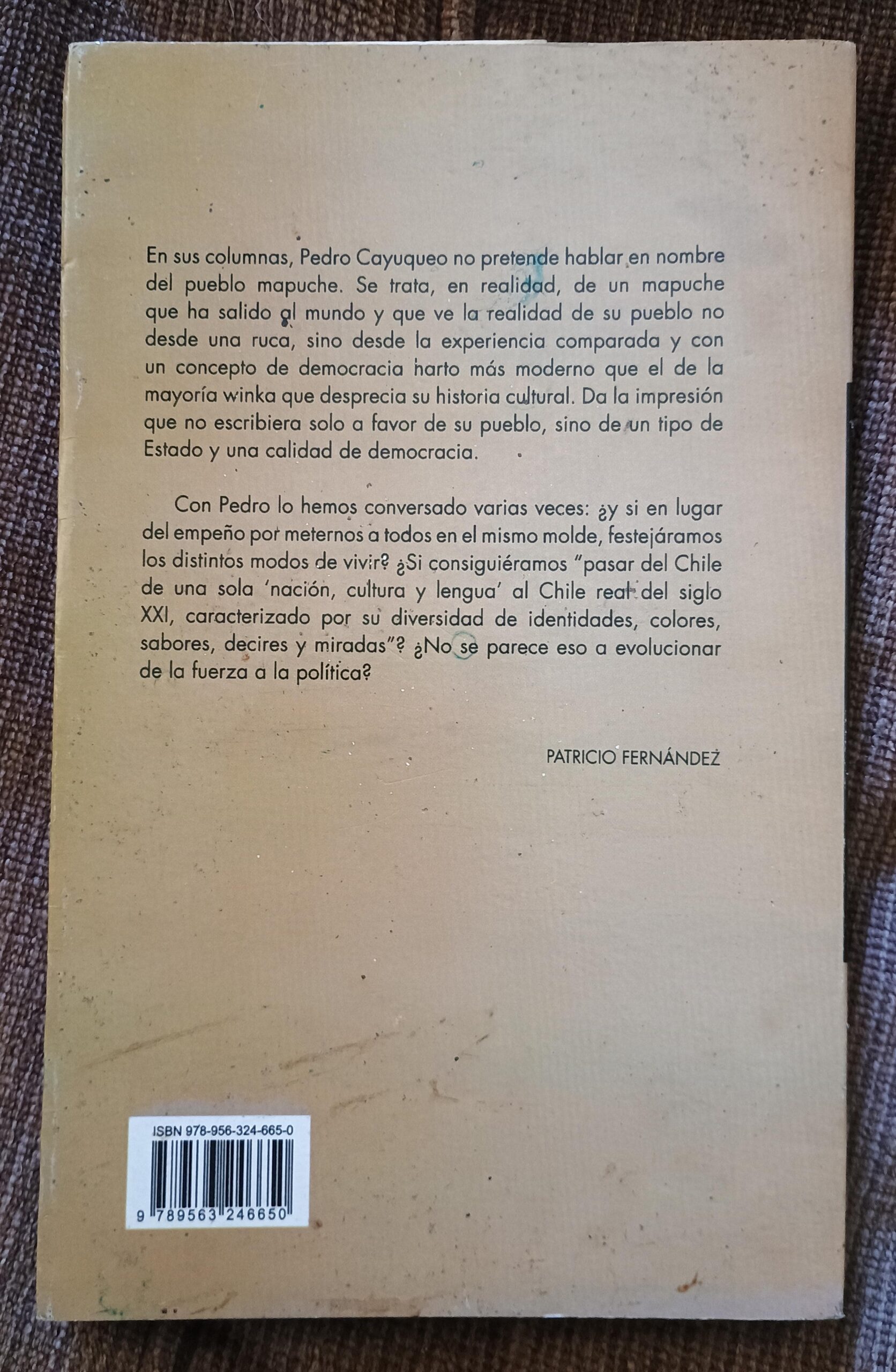 PORFIADA Y REBELDE ES LA MEMORIA. CRÓNICAS MAPUCHE de Pedro Cayuqueo - Imagen 4