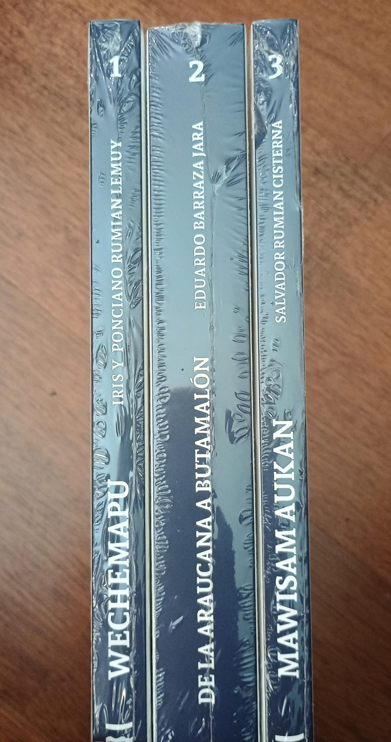 WECHEMAPU AUTOBIOGRAFÍA DE UN IMAGINARIO (3 TOMOS) de Iris Rumian y Ponciano Rumian (y otros) - Imagen 2