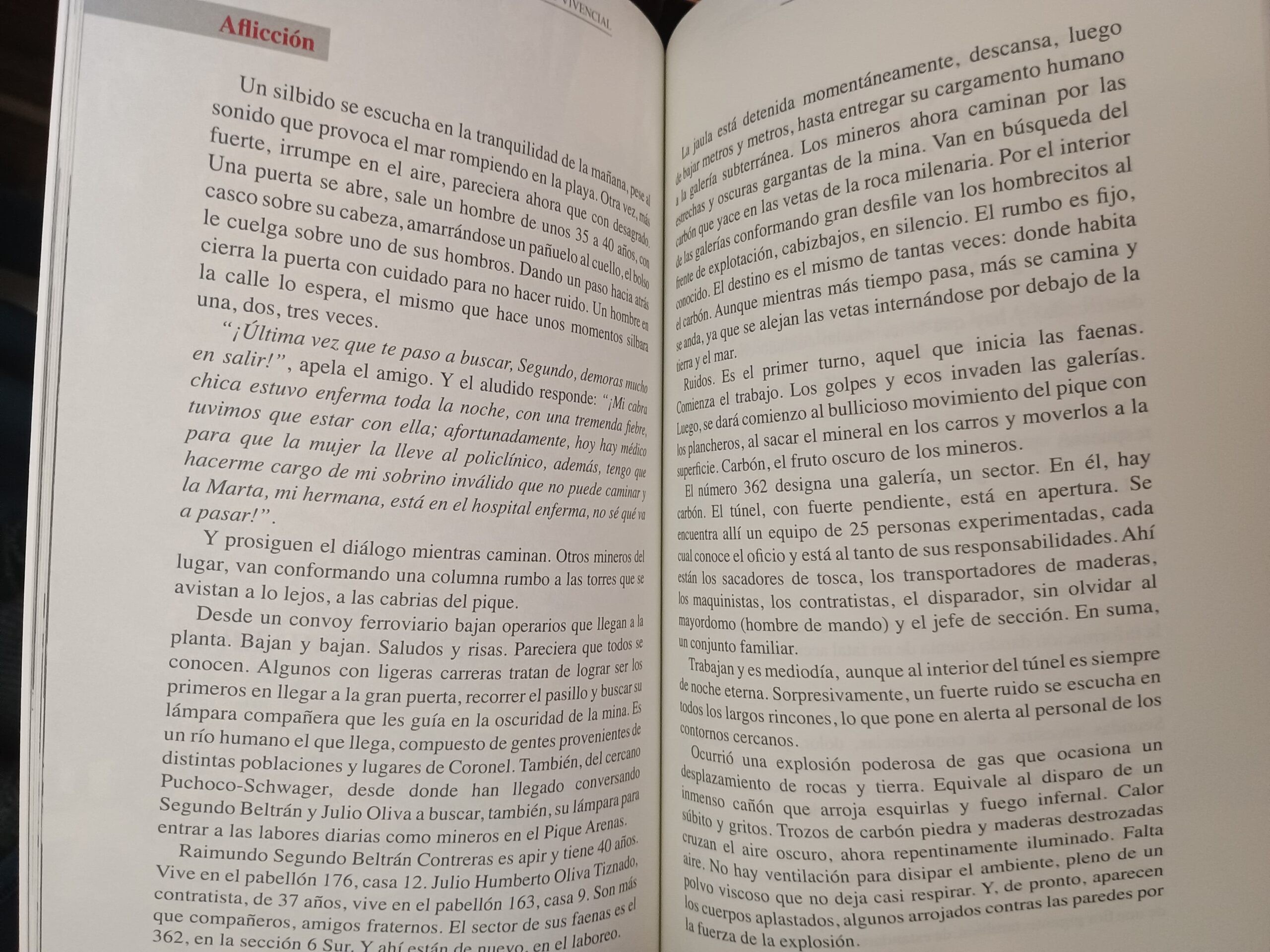 PUEBLO DE CARBÓN de Miguel Elizalde y Álvaro Muñoz - Imagen 2