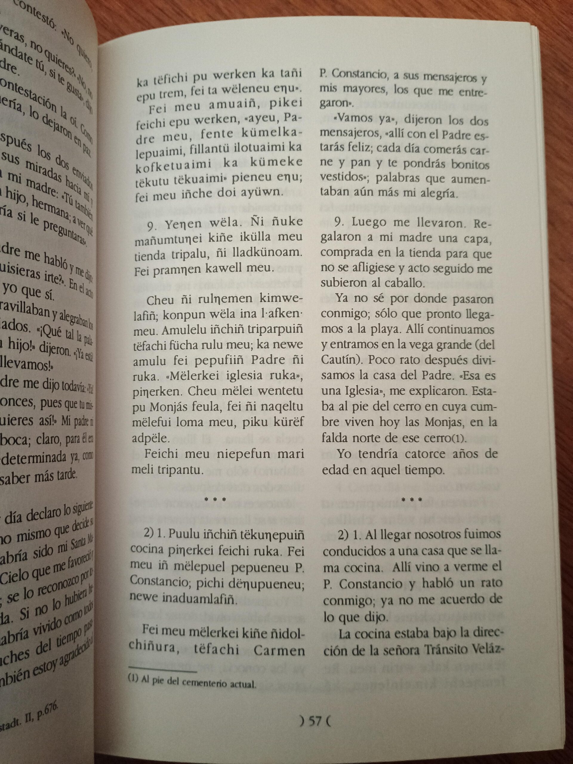 TESTIMONIO DE UN CACIQUE MAPUCHE (7° Ed.) de Lonco Pascual Coña - Imagen 2