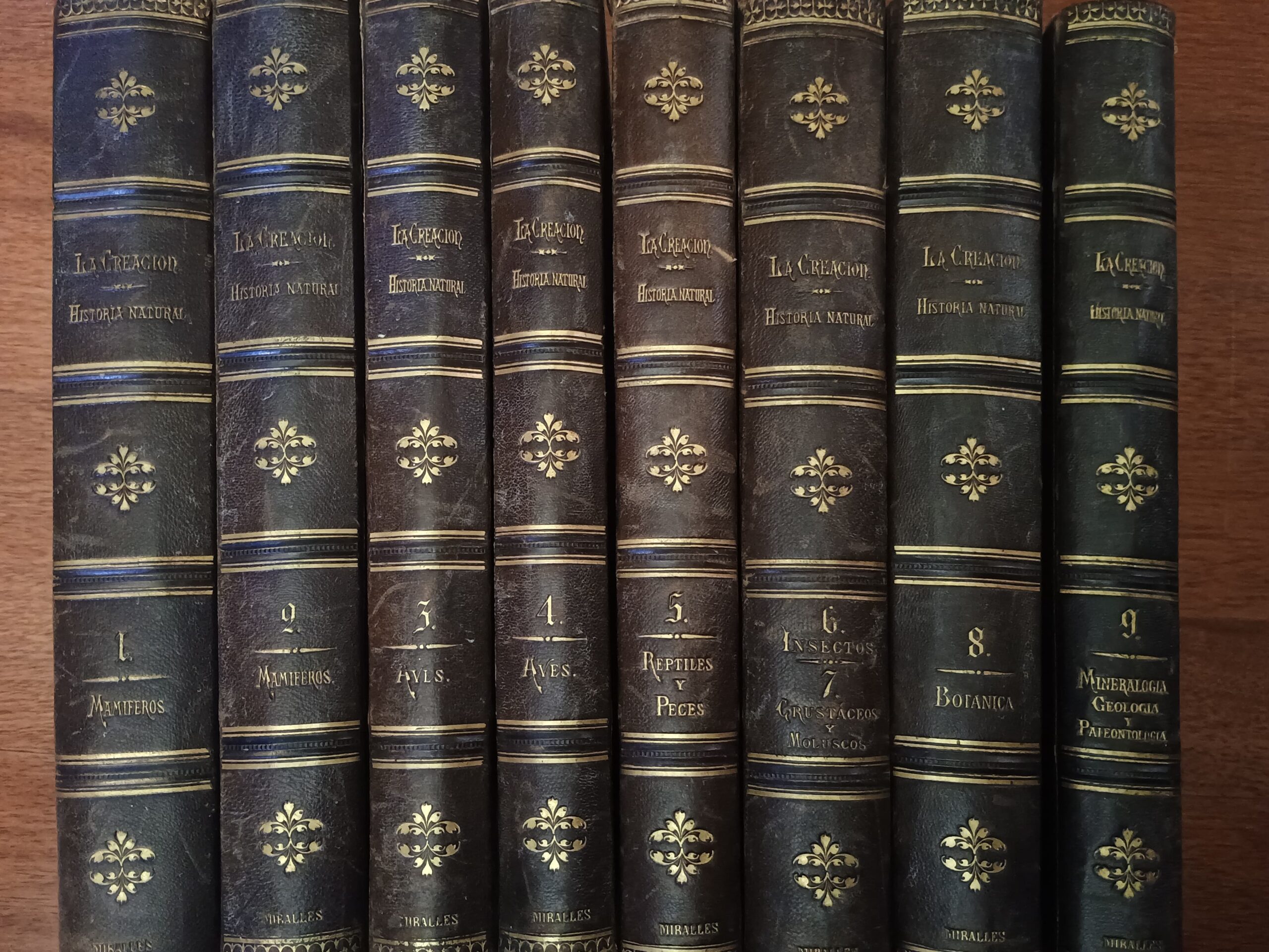 HISTORIA NATURAL, 8 Vol. de Dr. A. E. Brehm - Imagen 2