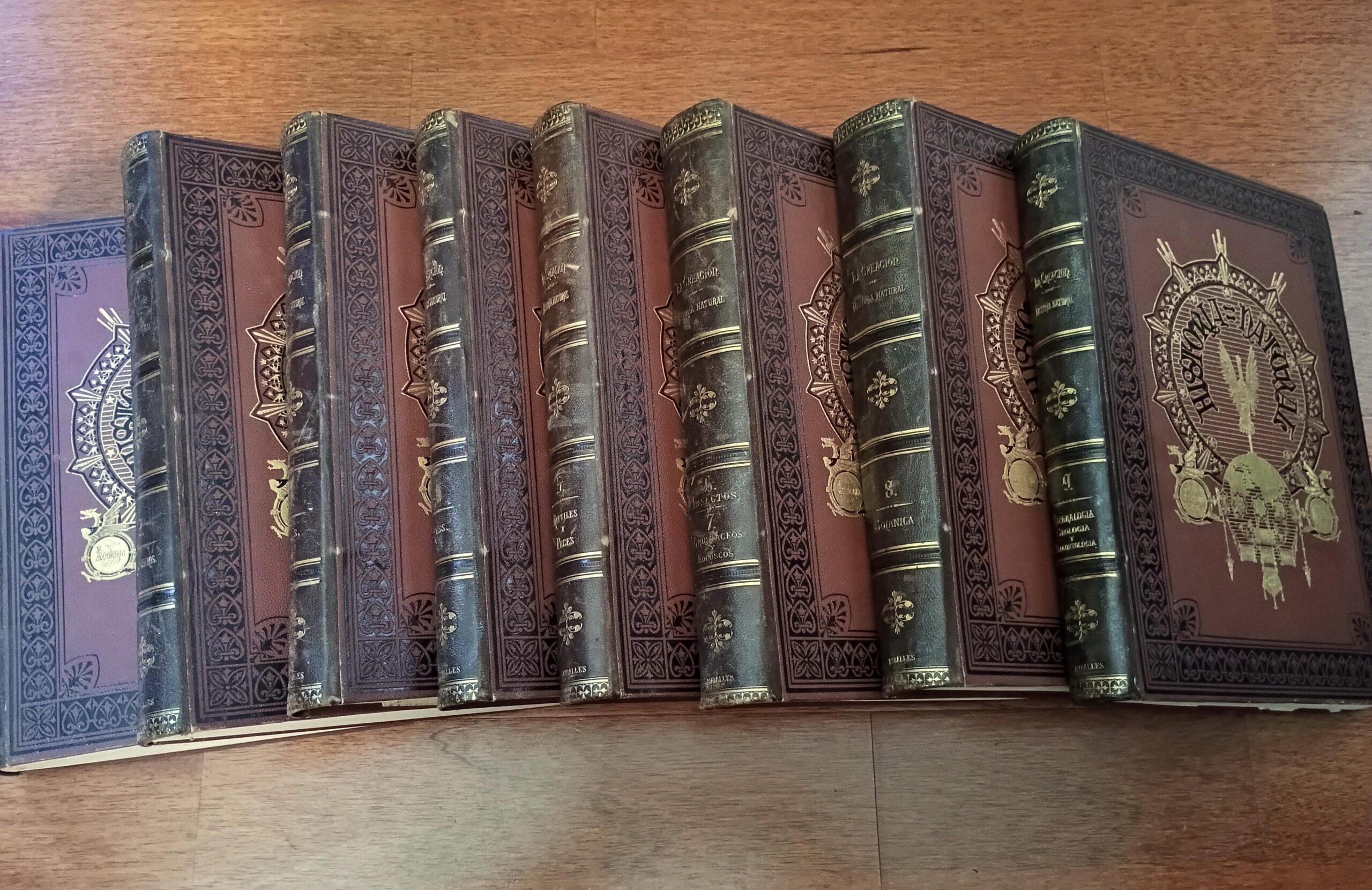 HISTORIA NATURAL, 8 Vol. de Dr. A. E. Brehm - Imagen 6