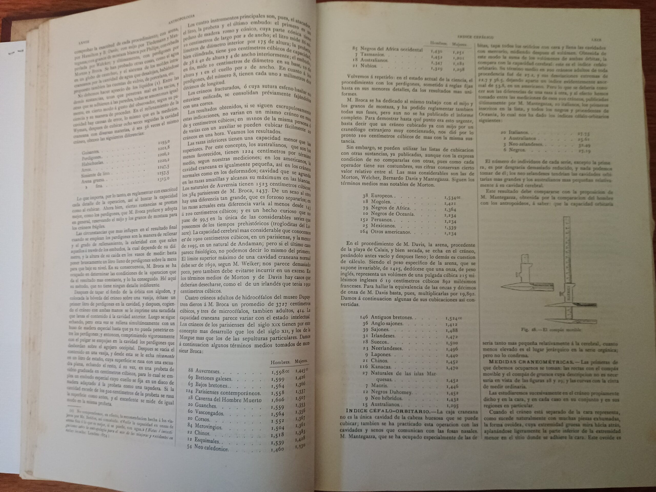 HISTORIA NATURAL, 8 Vol. de Dr. A. E. Brehm - Imagen 4