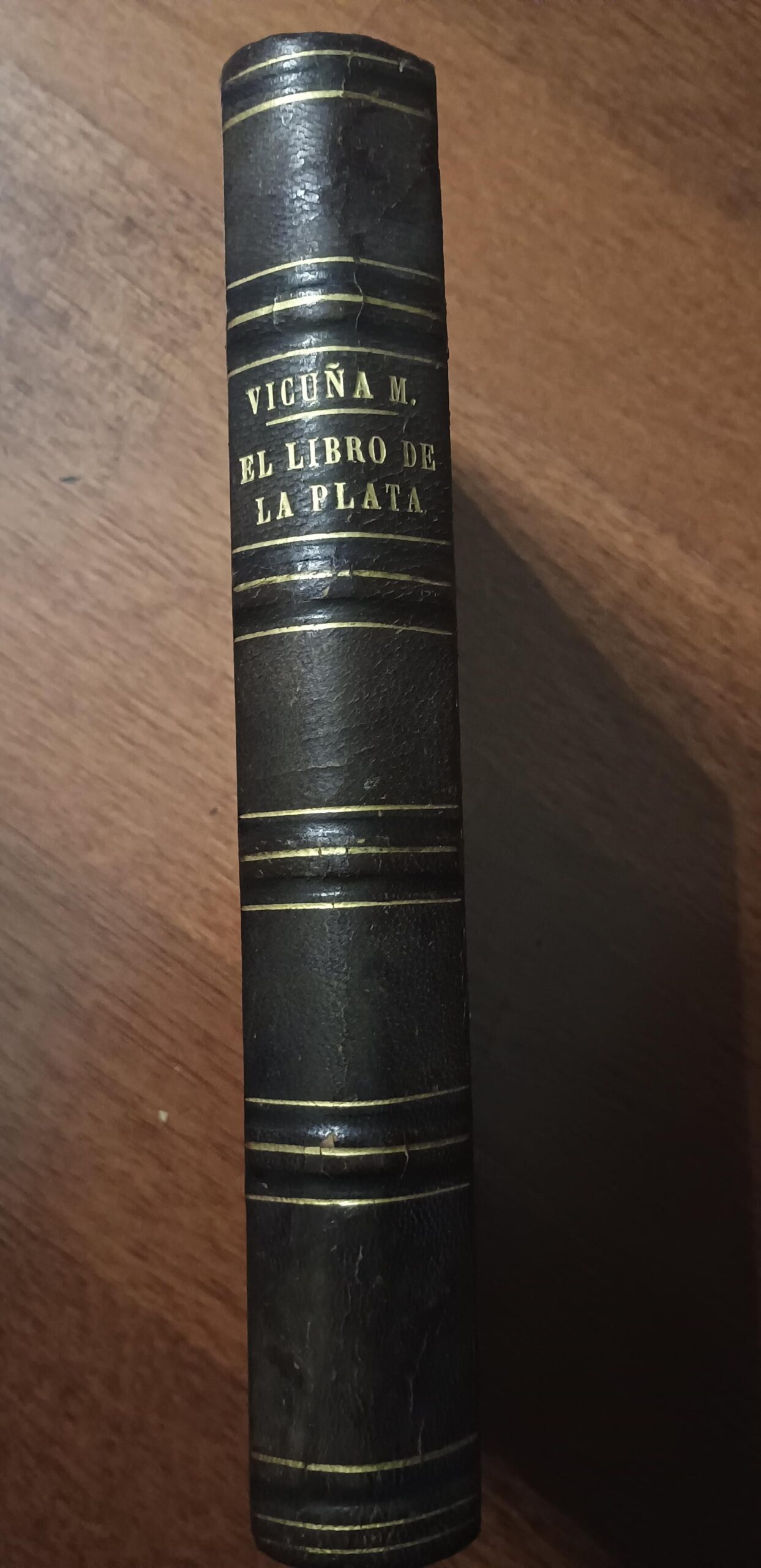EL LIBRO DE LA PLATA de B. Vicuña Mackenna - Imagen 2