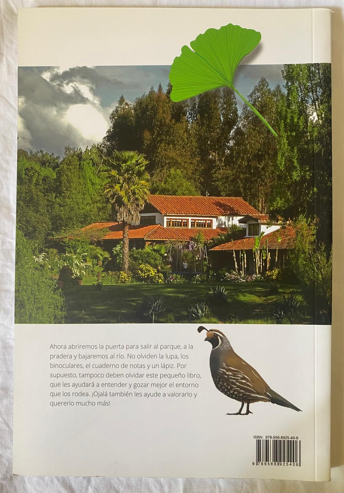 DESCUBRAMOS EL MEDIO AMBIENTE. Valle central de Chile - Imagen 2