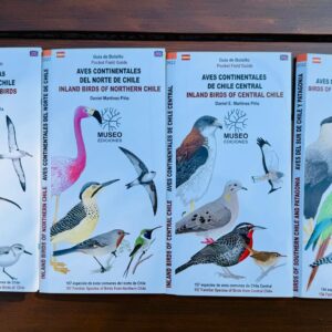  "AVES DE CHILE” por Daniel Martínez Piña