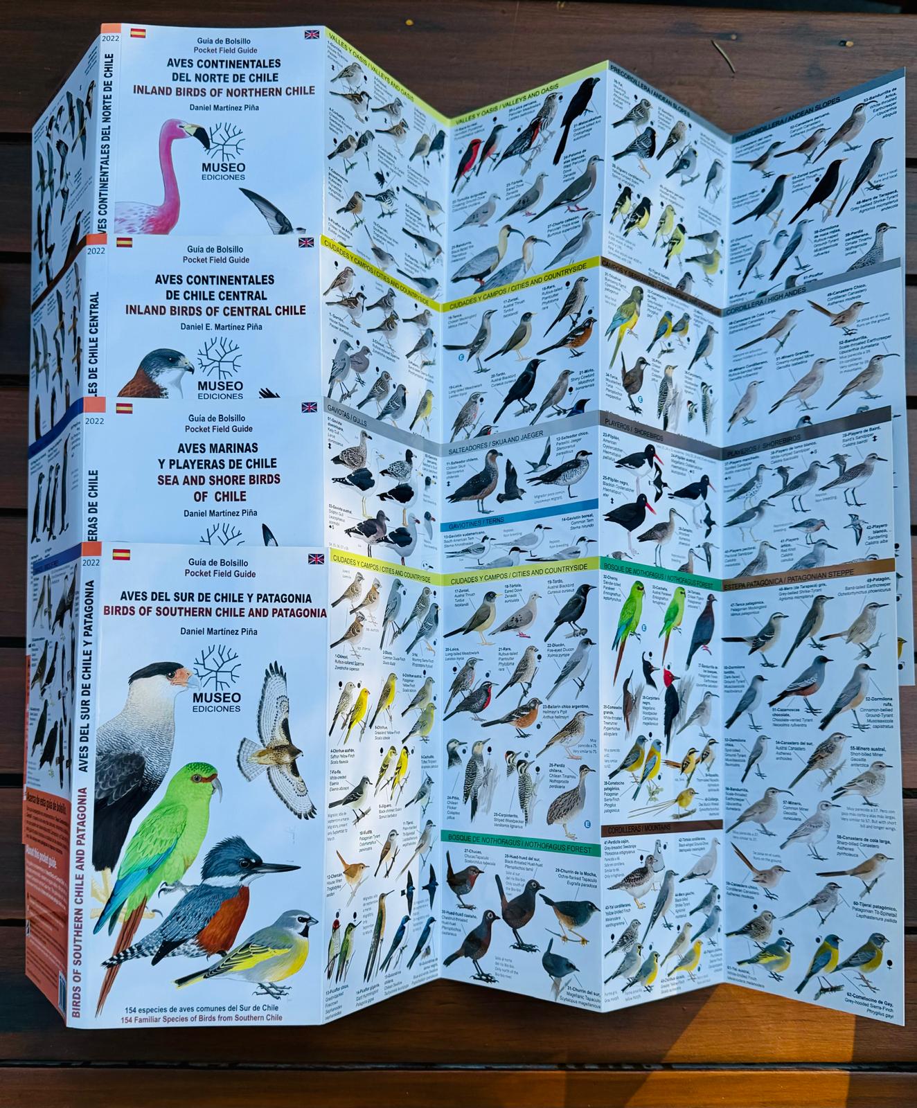 "AVES DE CHILE” por Daniel Martínez Piña - Imagen 3