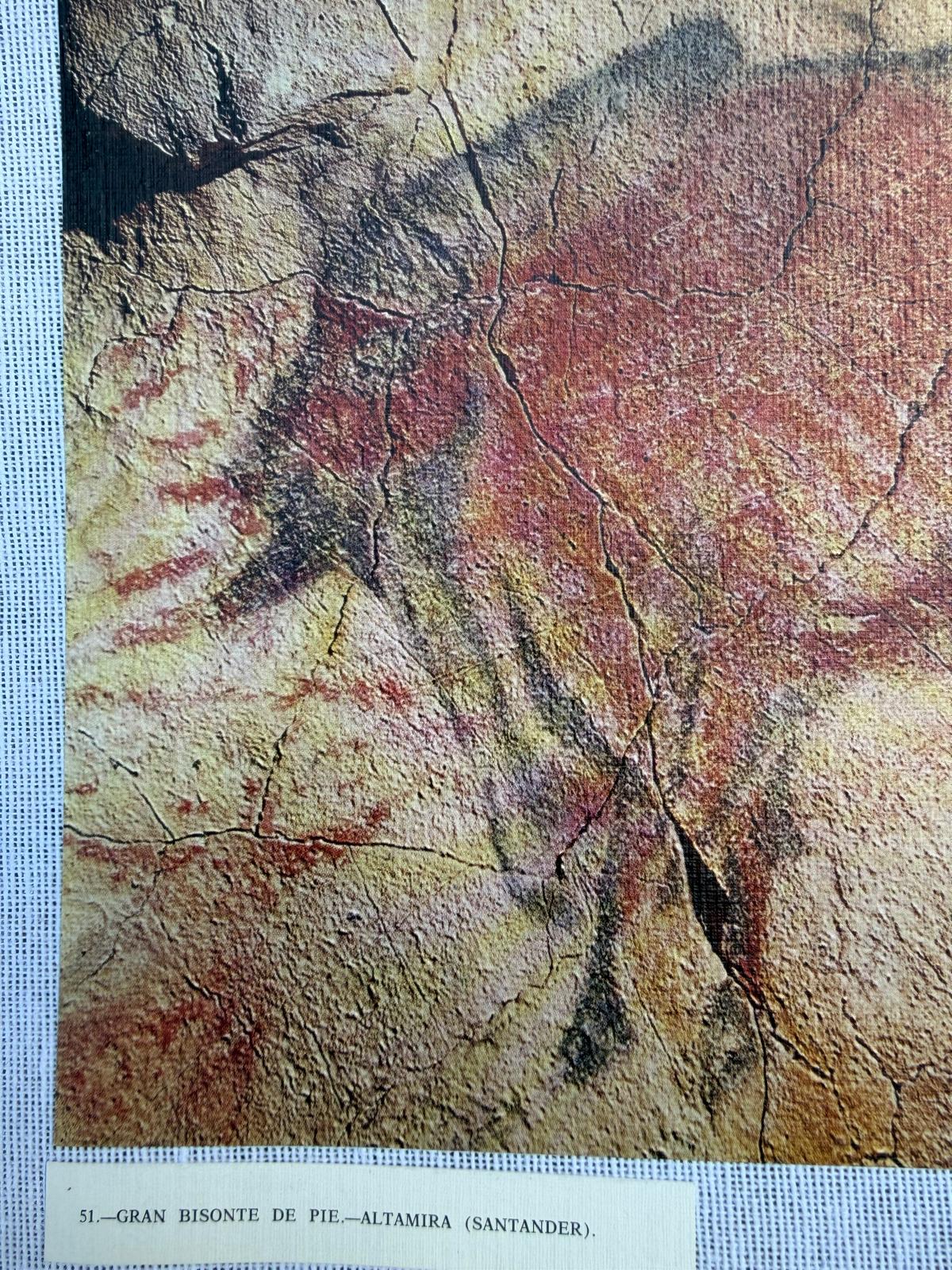 LA CUEVA DE ALTAMIRA Y OTRAS CUEVAS CON PINTURAS DE LA PROVINCIA DE SANTANDER + IMAGEN GRAN BISONTE DE PIE (ALTAMIRA- SANTANDER) - Imagen 3