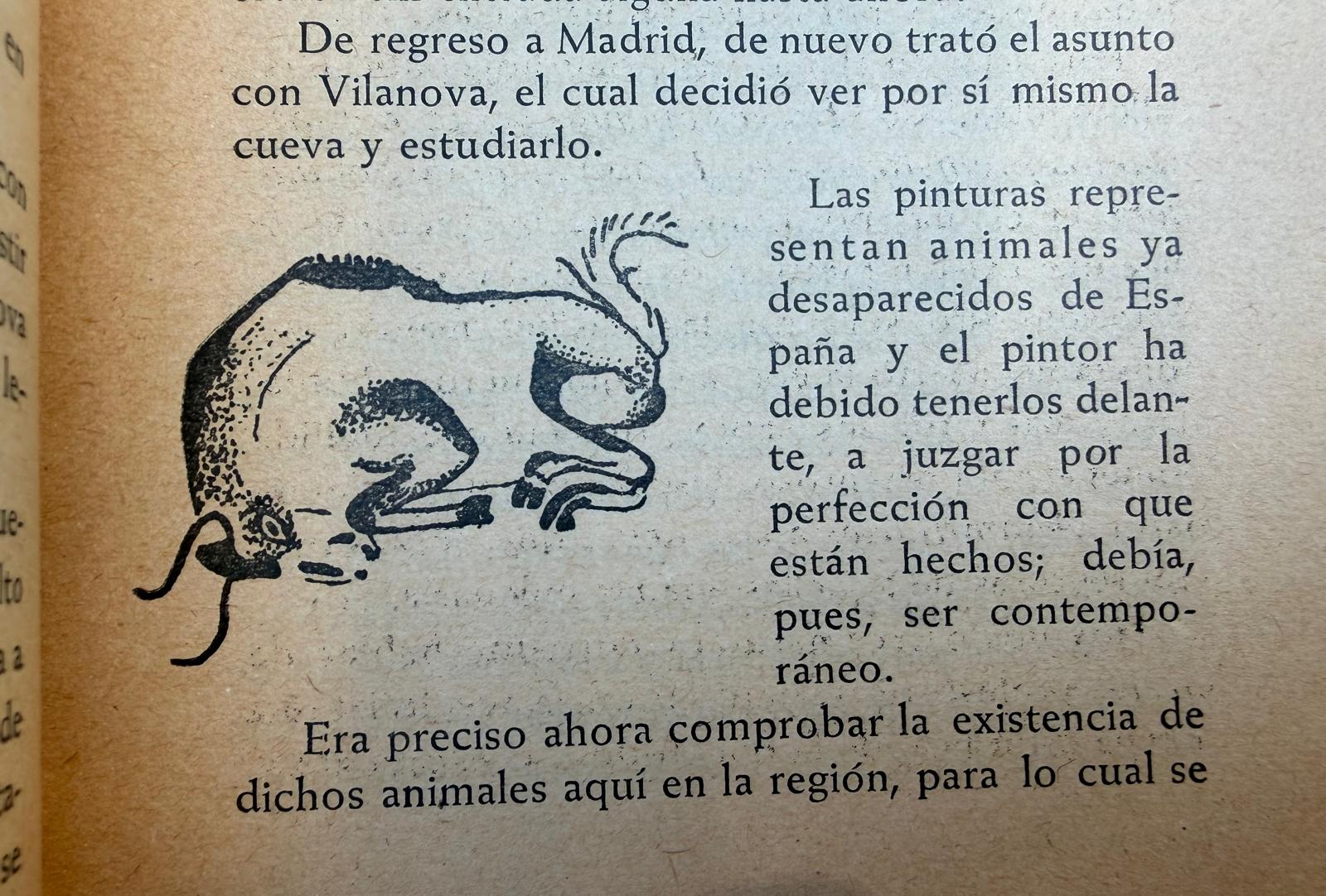 LA CUEVA DE ALTAMIRA Y OTRAS CUEVAS CON PINTURAS DE LA PROVINCIA DE SANTANDER + IMAGEN GRAN BISONTE DE PIE (ALTAMIRA- SANTANDER) - Imagen 5
