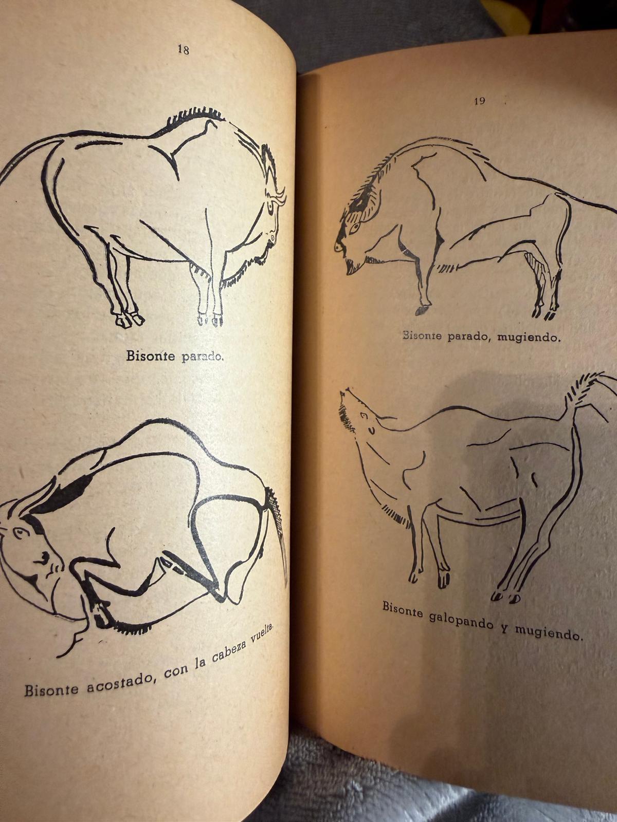 LA CUEVA DE ALTAMIRA Y OTRAS CUEVAS CON PINTURAS DE LA PROVINCIA DE SANTANDER + IMAGEN GRAN BISONTE DE PIE (ALTAMIRA- SANTANDER) - Imagen 7