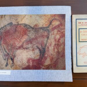 LA CUEVA DE ALTAMIRA Y OTRAS CUEVAS CON PINTURAS DE LA PROVINCIA DE SANTANDER + IMAGEN GRAN BISONTE DE PIE (ALTAMIRA- SANTANDER)