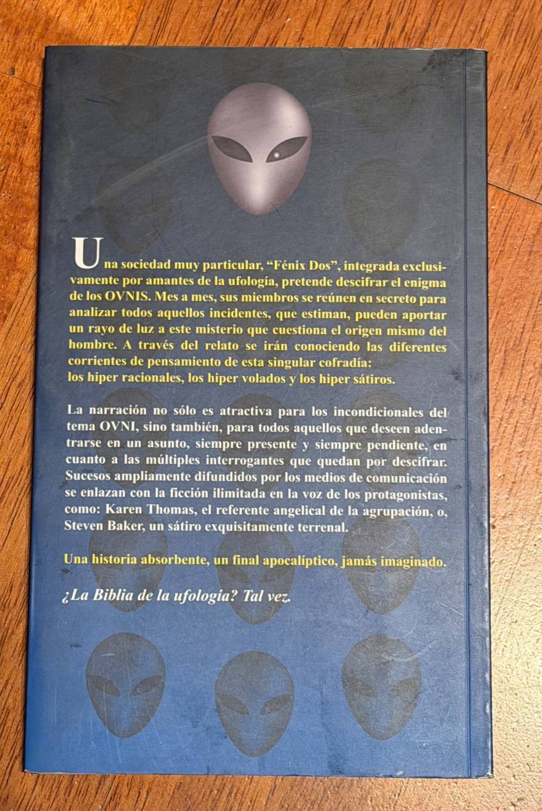 CUANDO VUELVAN LOS FLAMENCOS de Benedicto Cerdà - Imagen 2