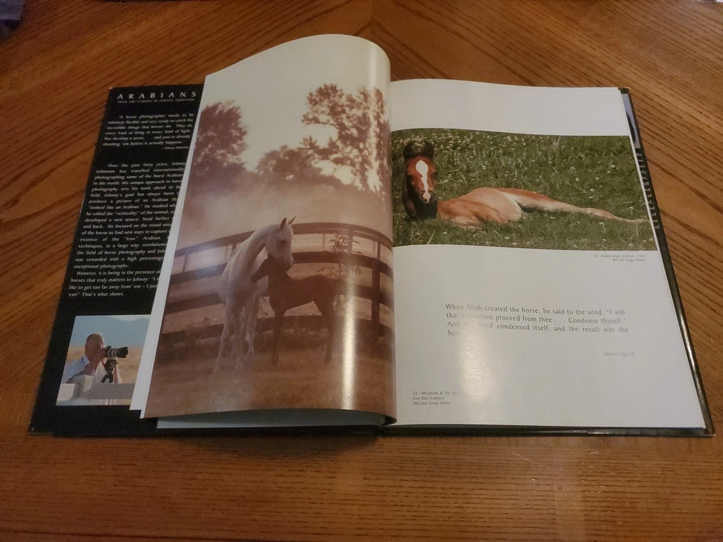 ARABIANS from the Camera of Johnny Johnston - Imagen 4